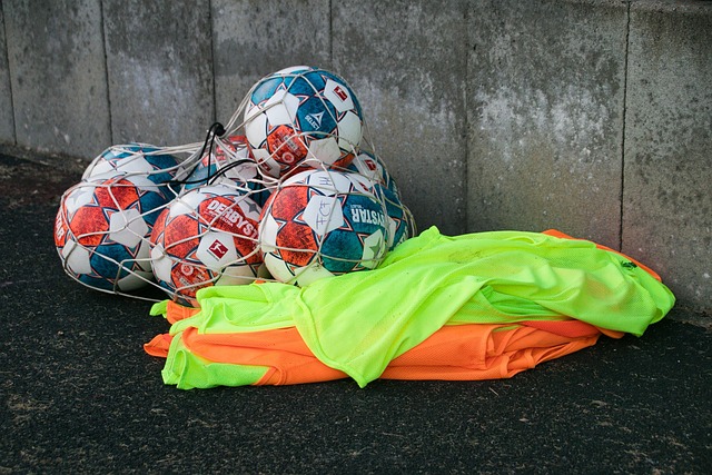 他们很有可 他们很有可