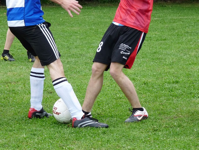 核心球员的 核心球员的