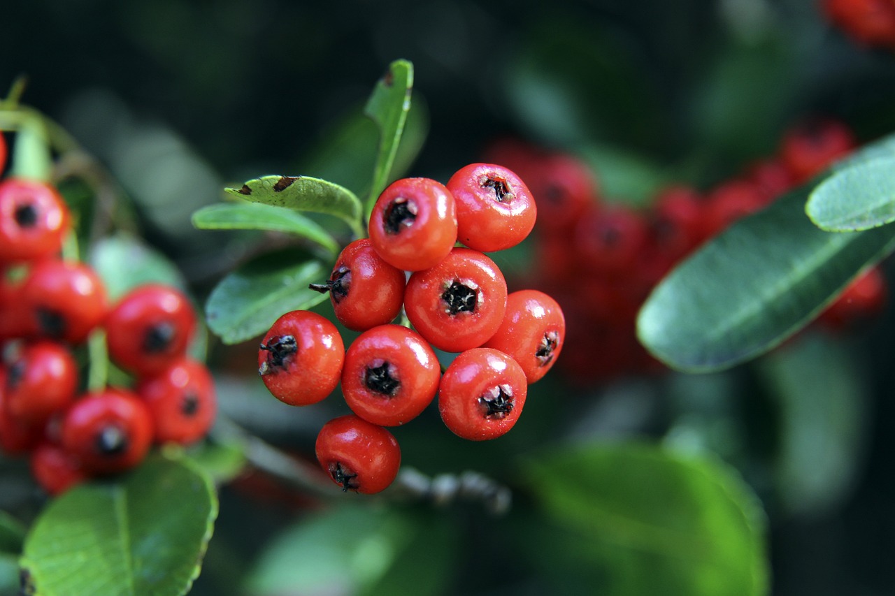 横扫东部 横扫东部