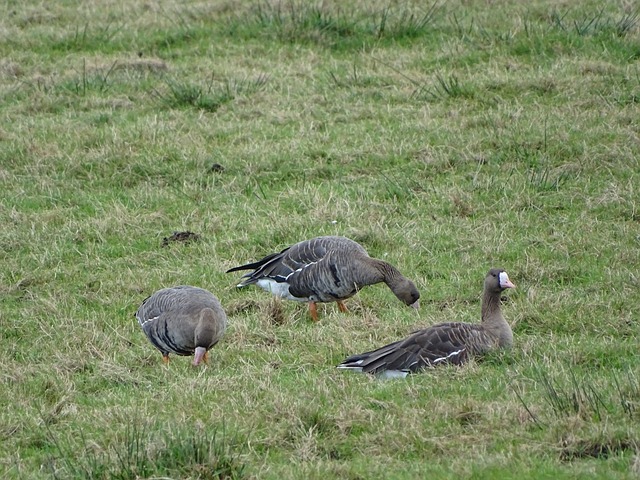 来到独行侠 来到独行侠